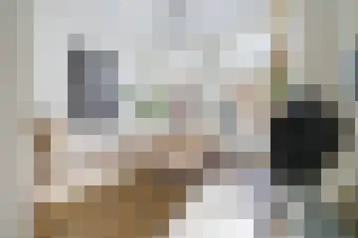 Juffrouw Idastraat 1 Den Haag thumbnail 8