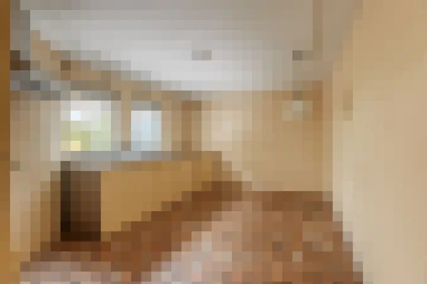 Juffrouw Idastraat 17 Den Haag thumbnail 10