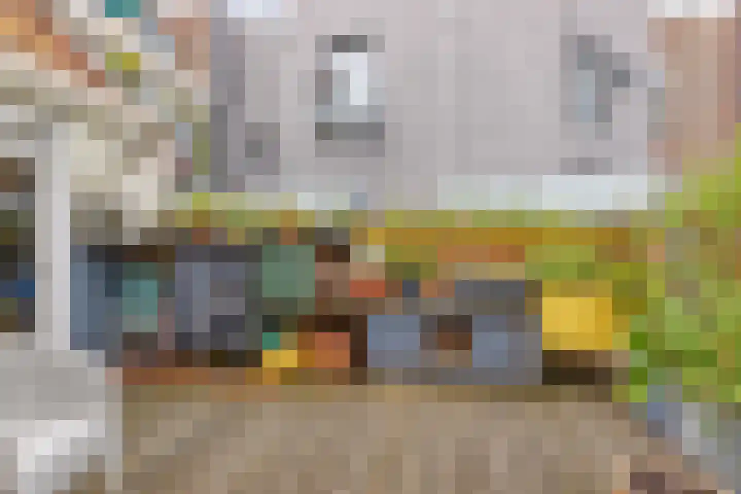 Juffrouw Idastraat 17 Den Haag thumbnail 14