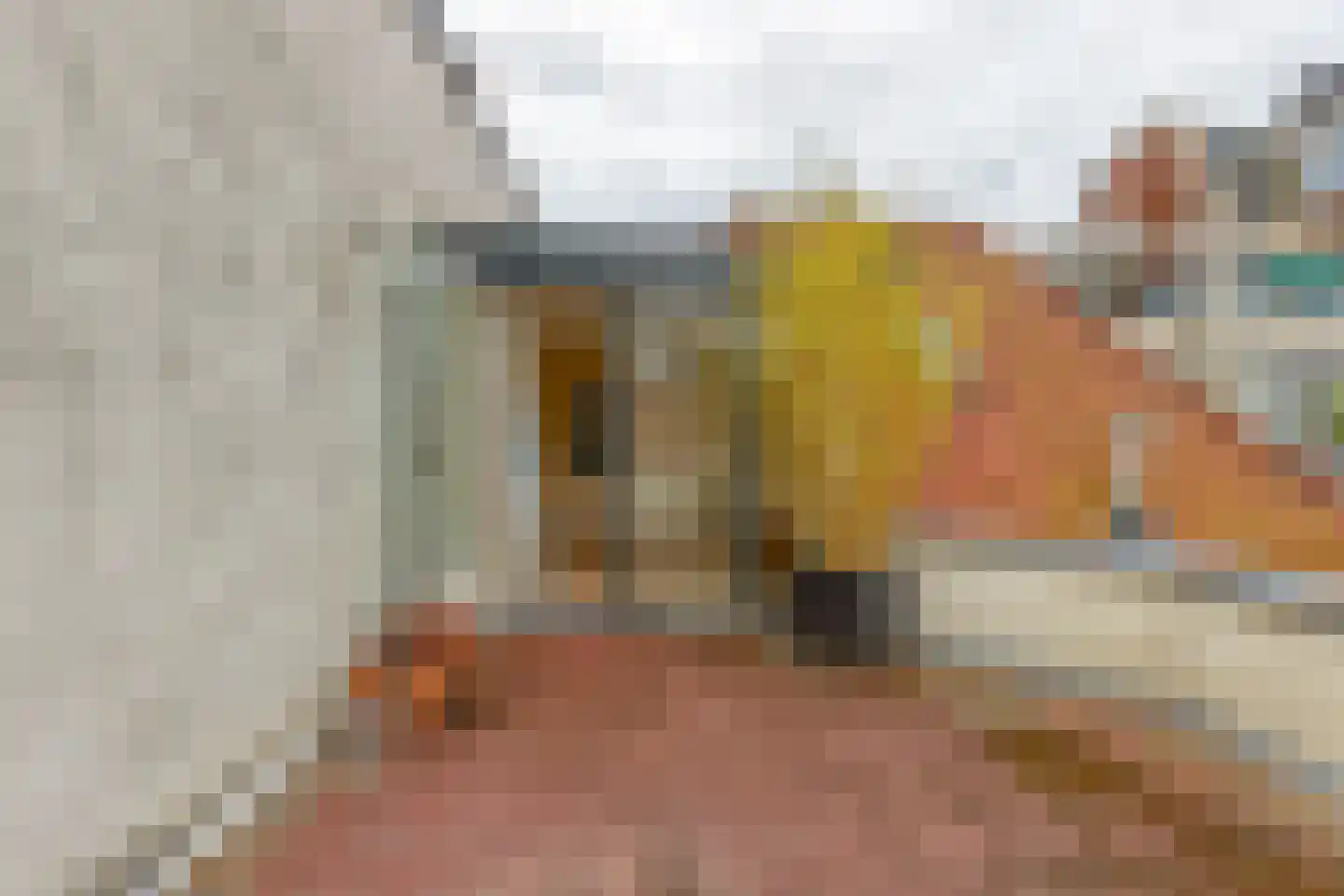 Juffrouw Idastraat 17 Den Haag thumbnail 32