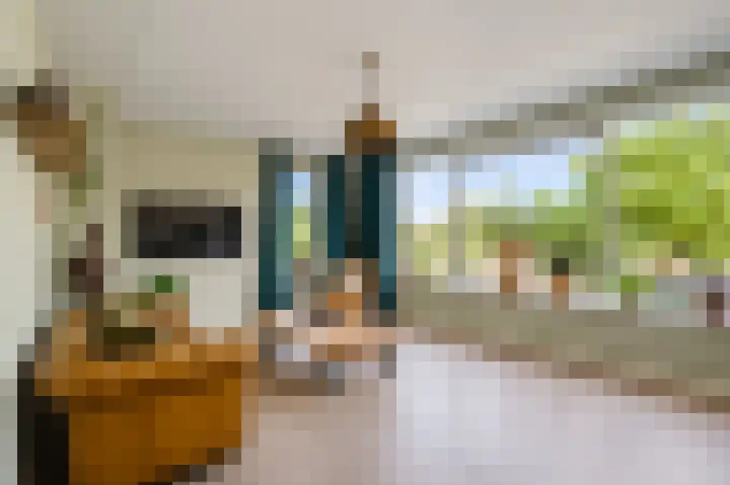 Juffrouw Joostenhof 9 Nederweert thumbnail 12