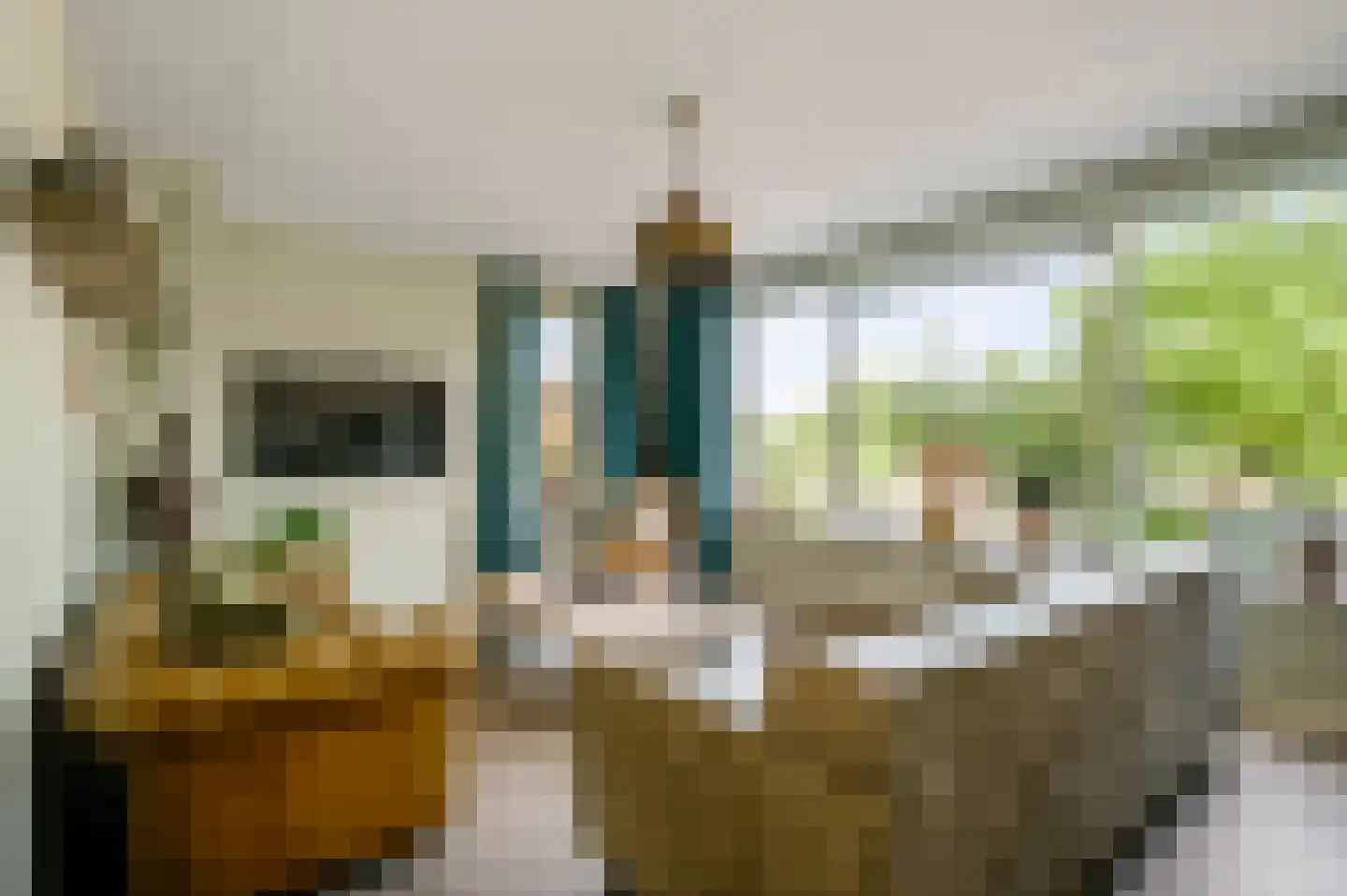 Juffrouw Joostenhof 9 Nederweert thumbnail 12