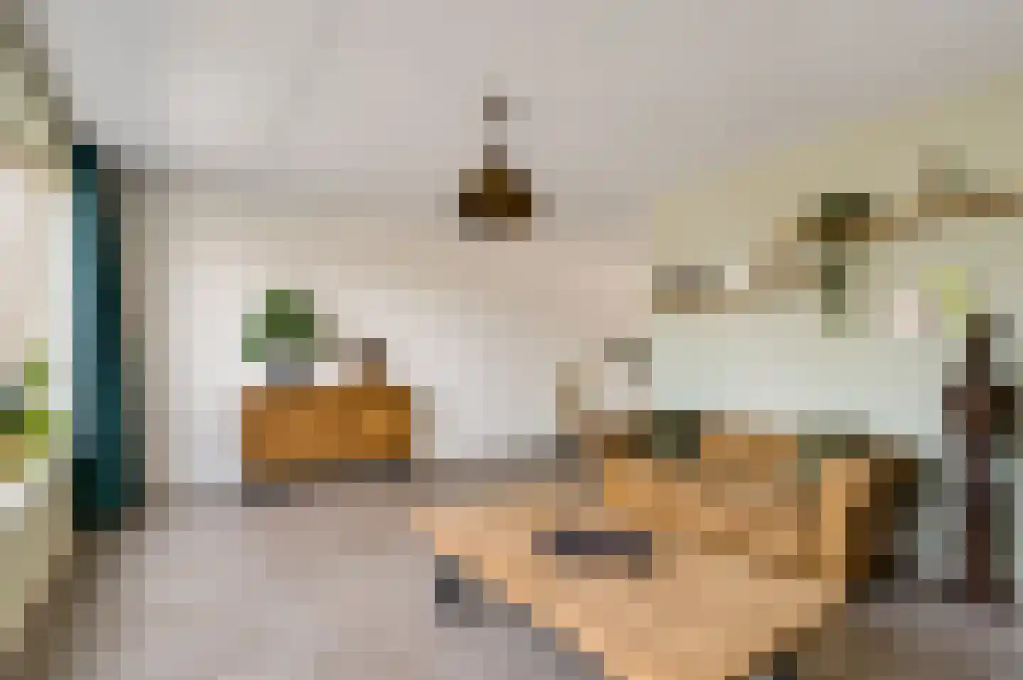 Juffrouw Joostenhof 9 Nederweert thumbnail 13