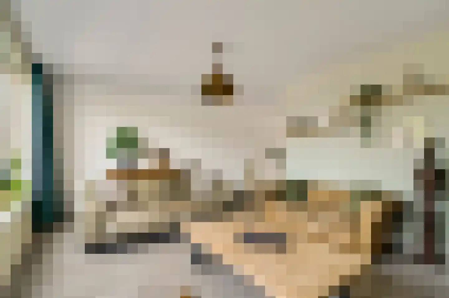 Juffrouw Joostenhof 9 Nederweert thumbnail 14