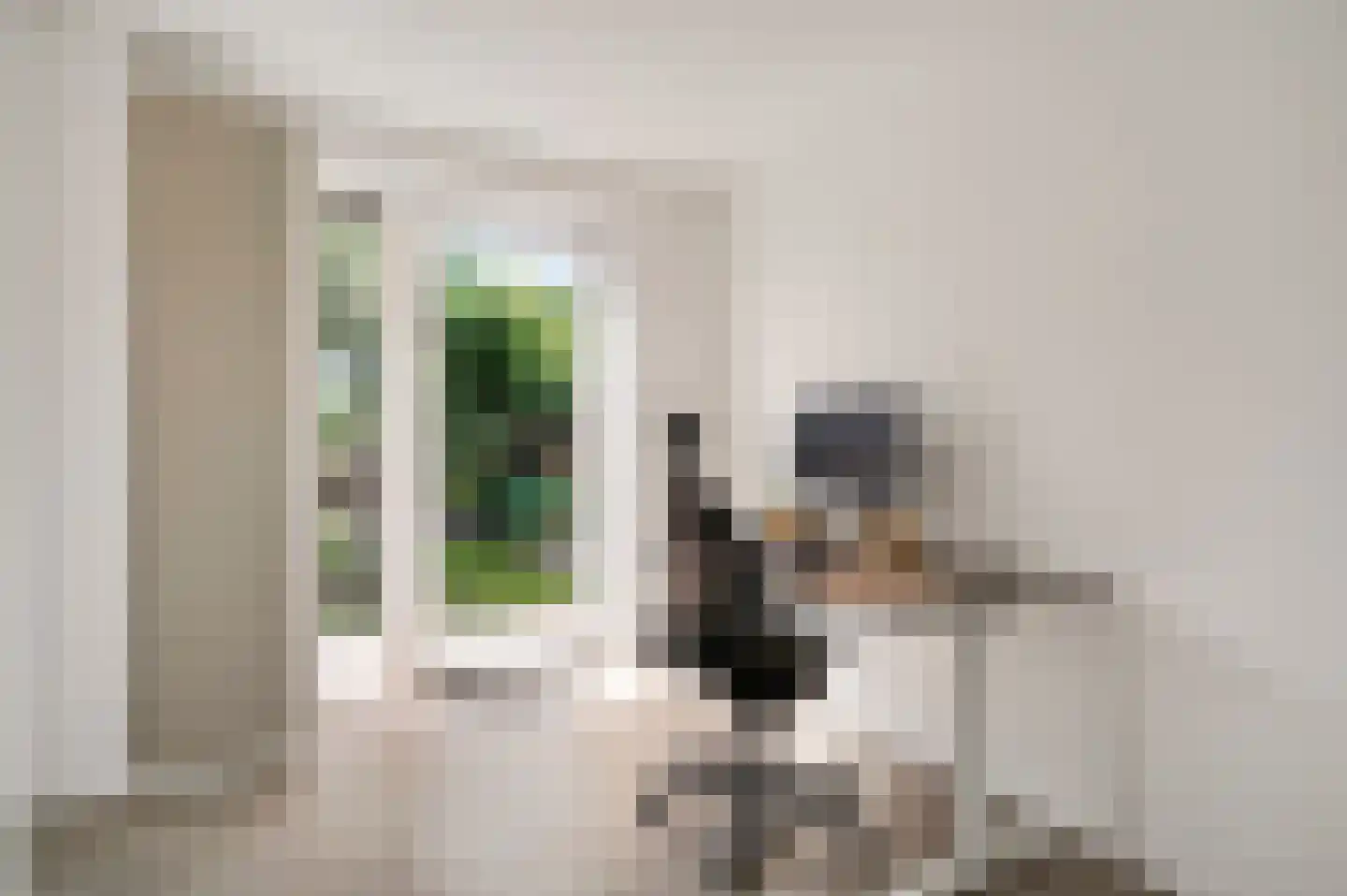 Juffrouw Joostenhof 9 Nederweert thumbnail 17