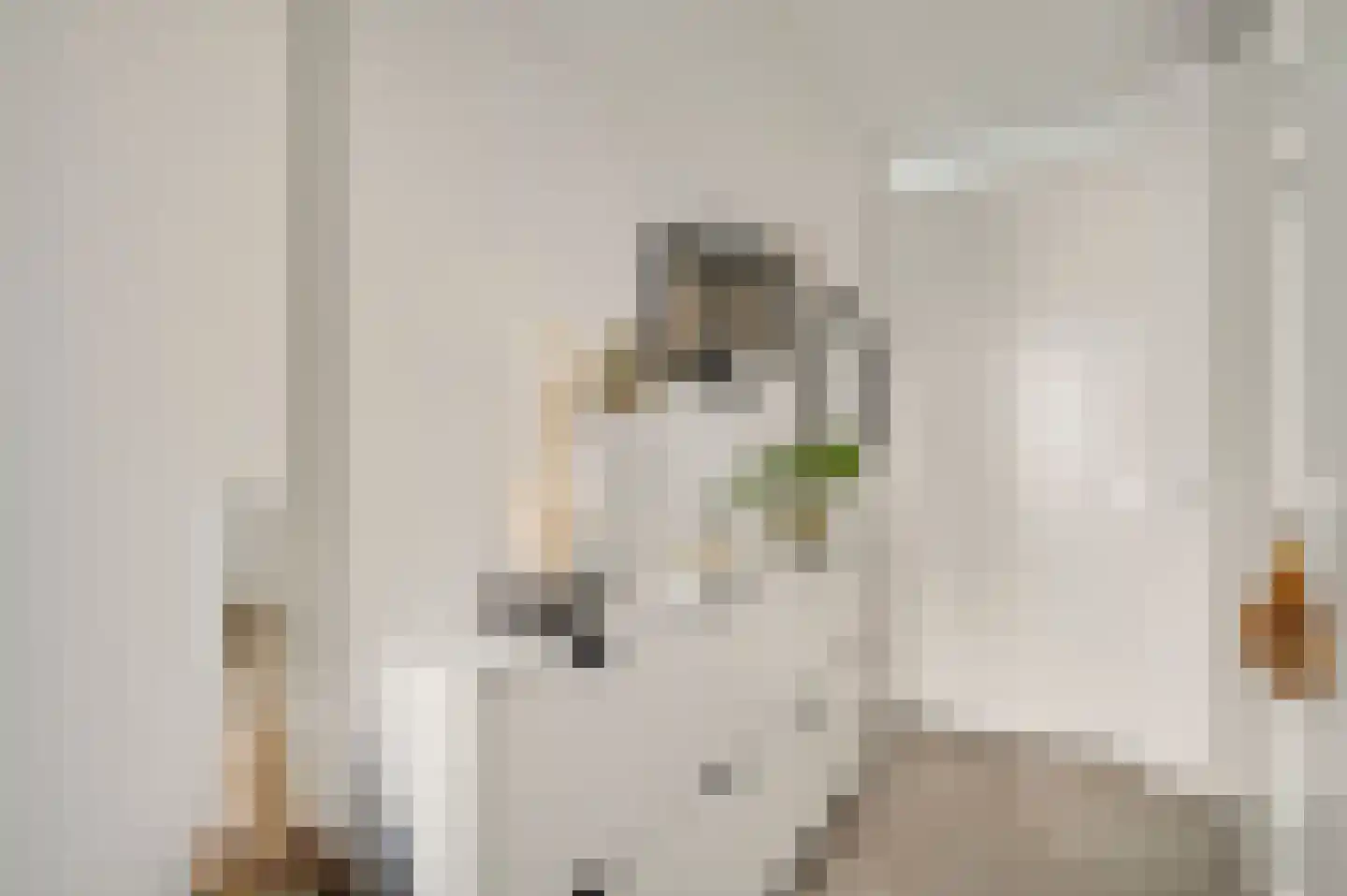 Juffrouw Joostenhof 9 Nederweert thumbnail 20