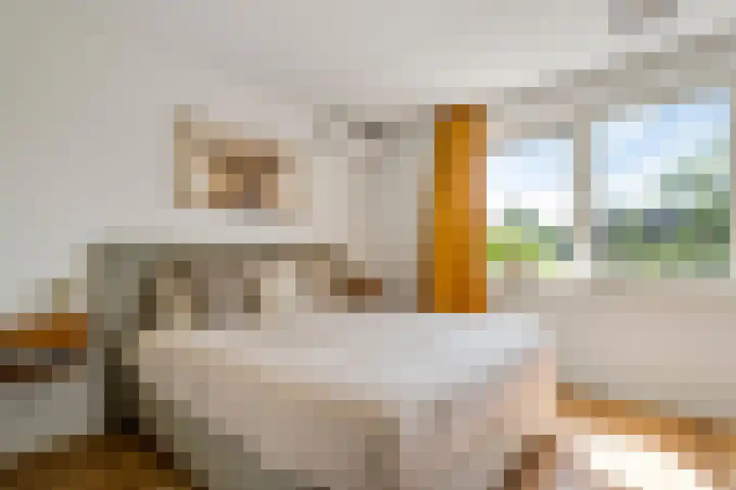 Juffrouw Joostenhof 9 Nederweert thumbnail 27