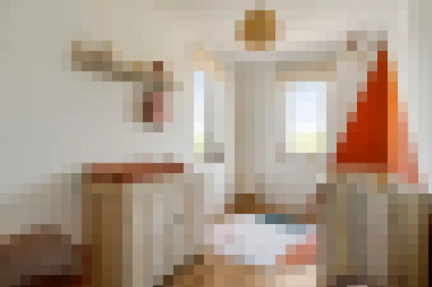 Juffrouw Joostenhof 9 Nederweert thumbnail 30