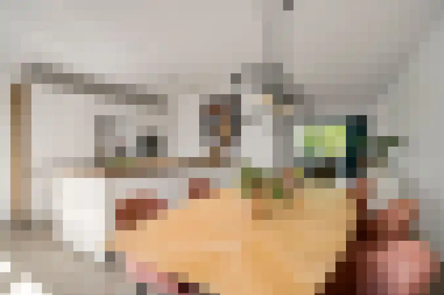 Juffrouw Joostenhof 9 Nederweert thumbnail 4