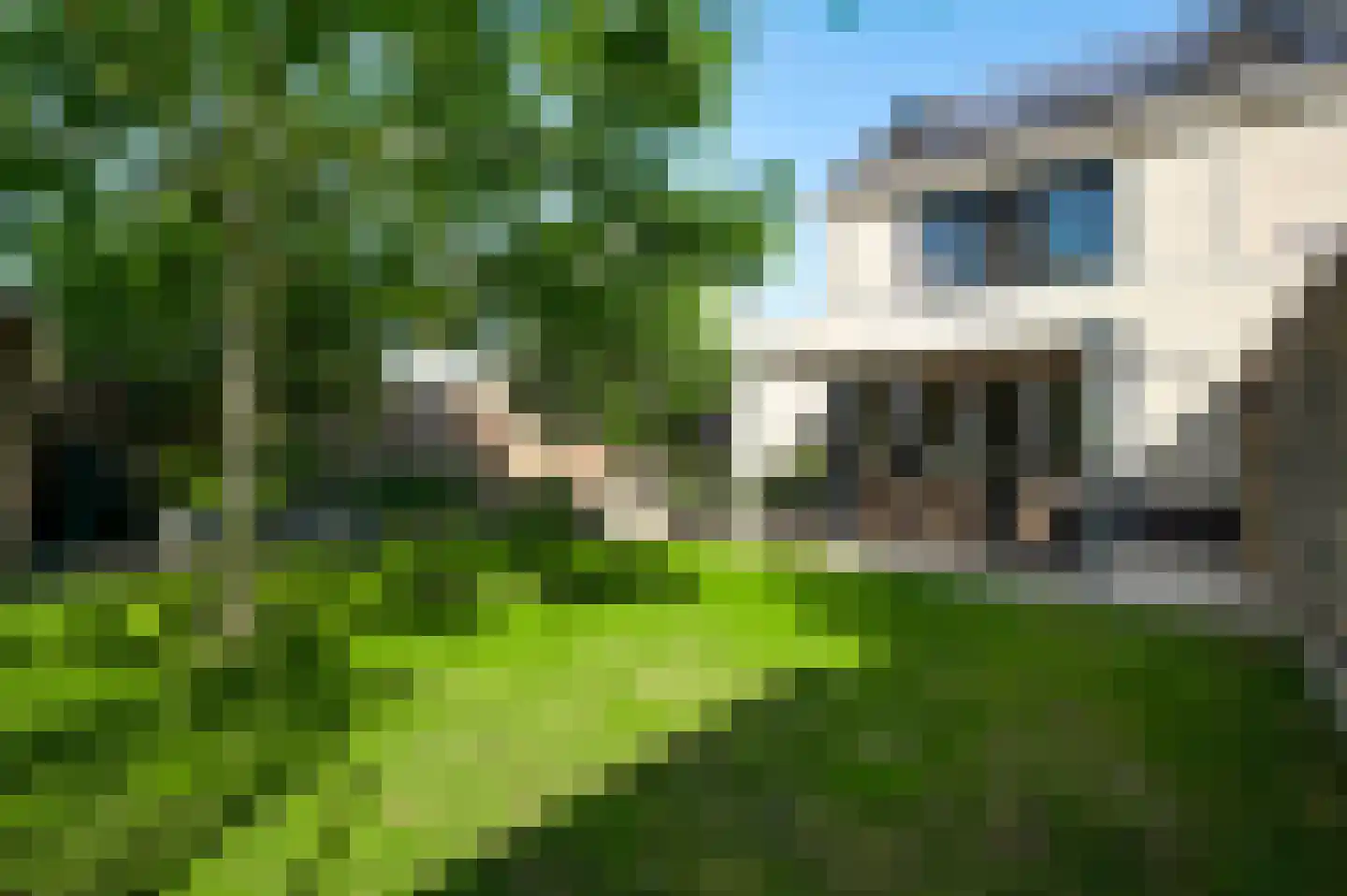 Juffrouw Joostenhof 9 Nederweert thumbnail 40