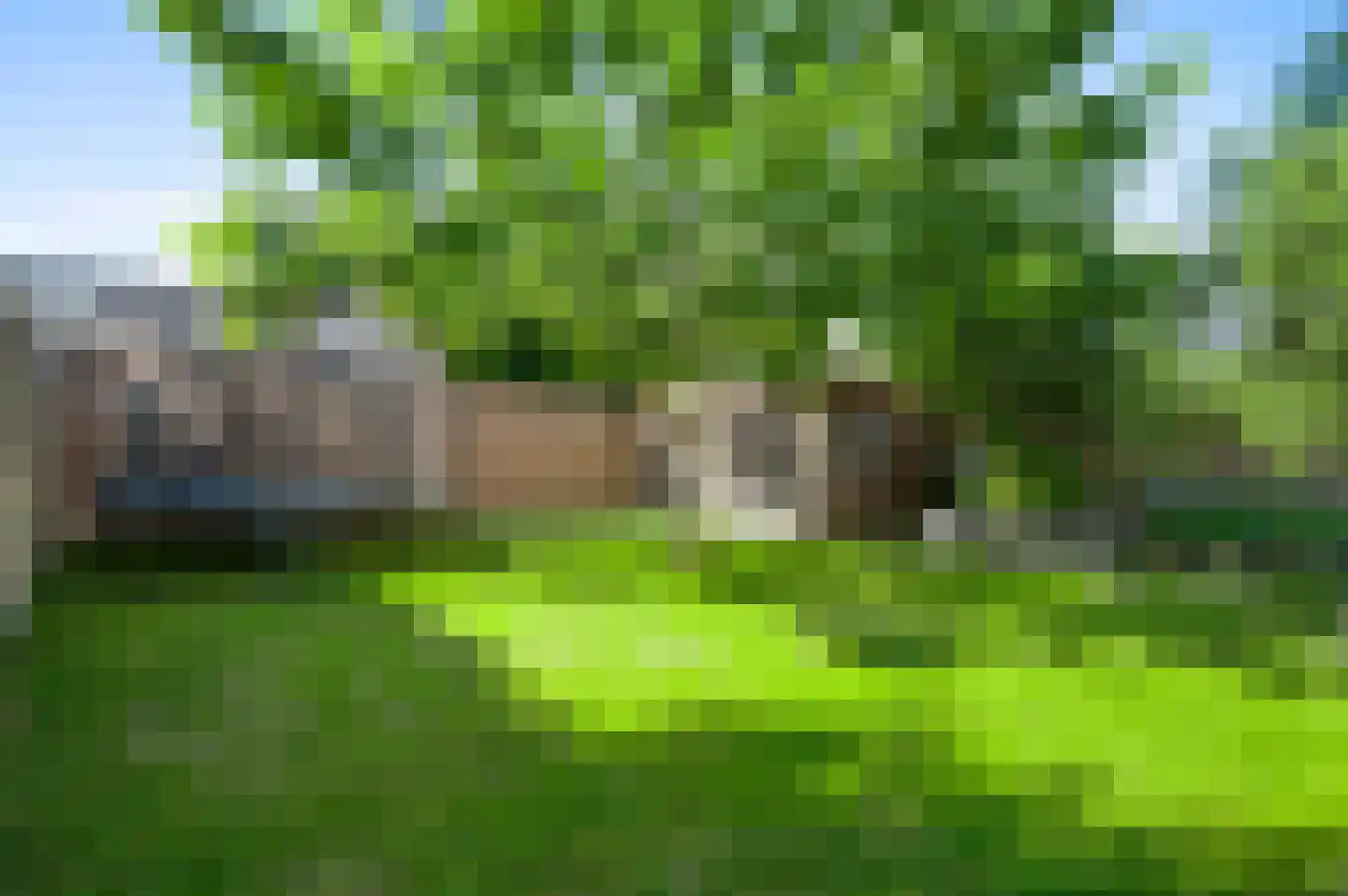 Juffrouw Joostenhof 9 Nederweert thumbnail 41