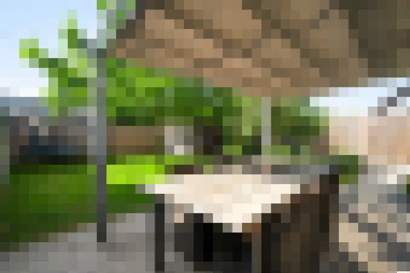 Juffrouw Joostenhof 9 Nederweert thumbnail 43