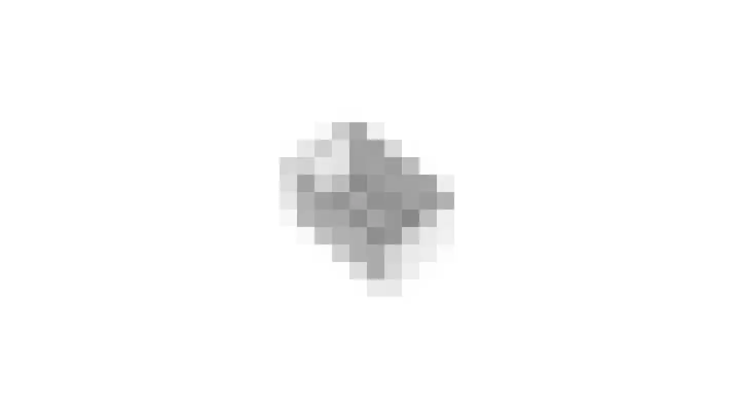Juffrouw Joostenhof 9 Nederweert thumbnail 56