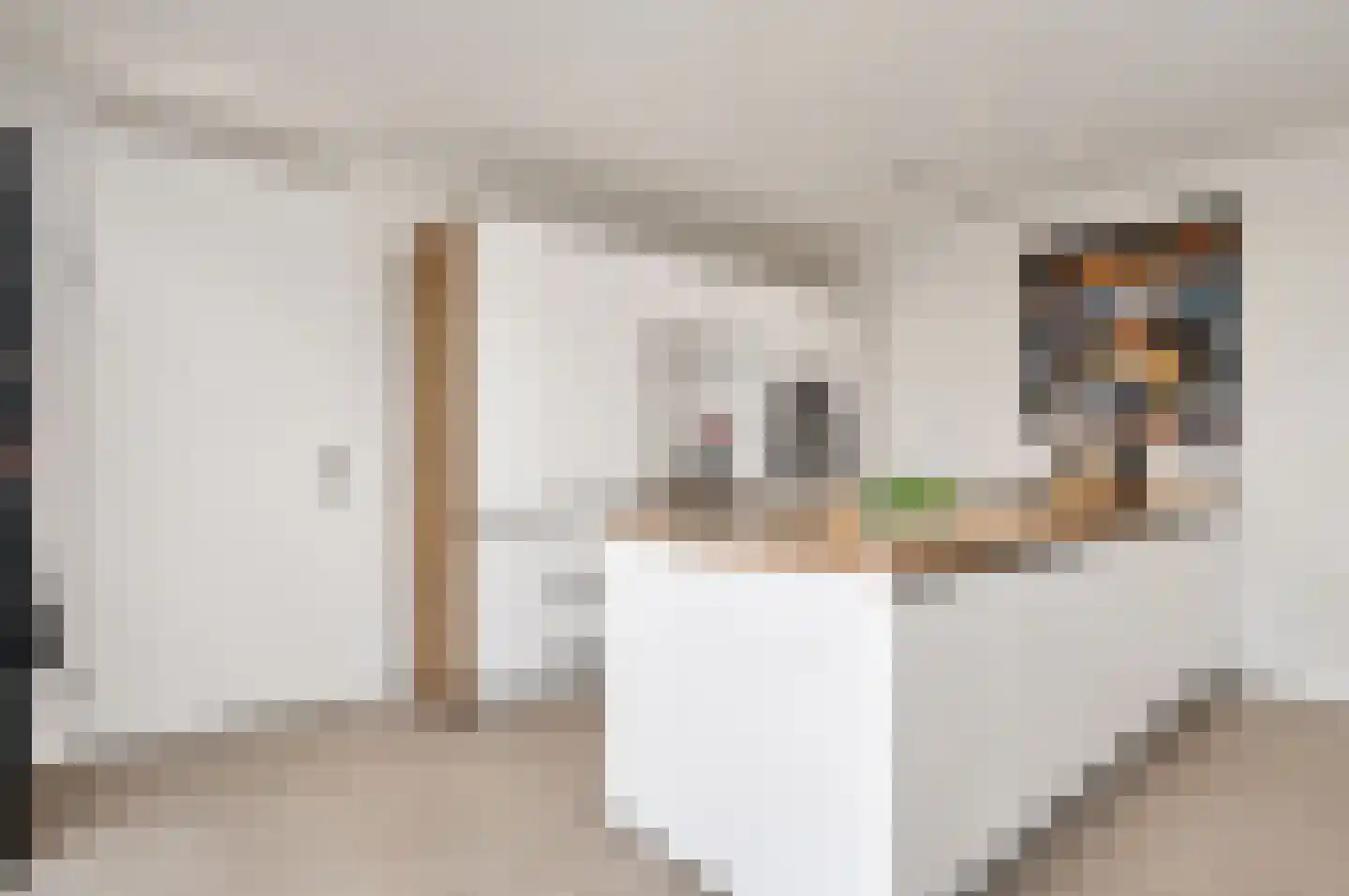 Juffrouw Joostenhof 9 Nederweert thumbnail 7
