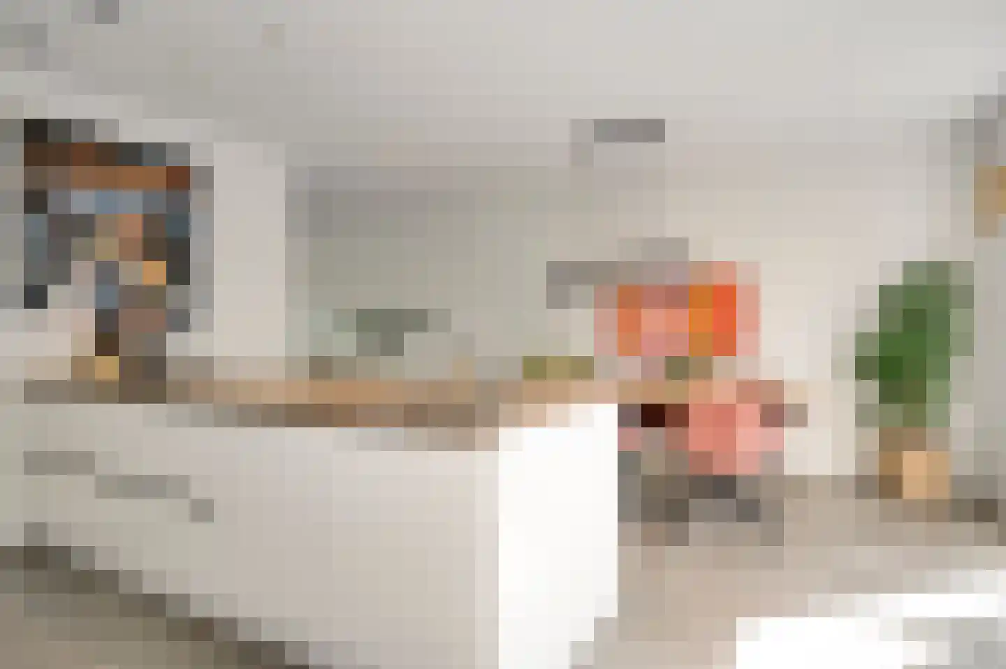 Juffrouw Joostenhof 9 Nederweert thumbnail 8