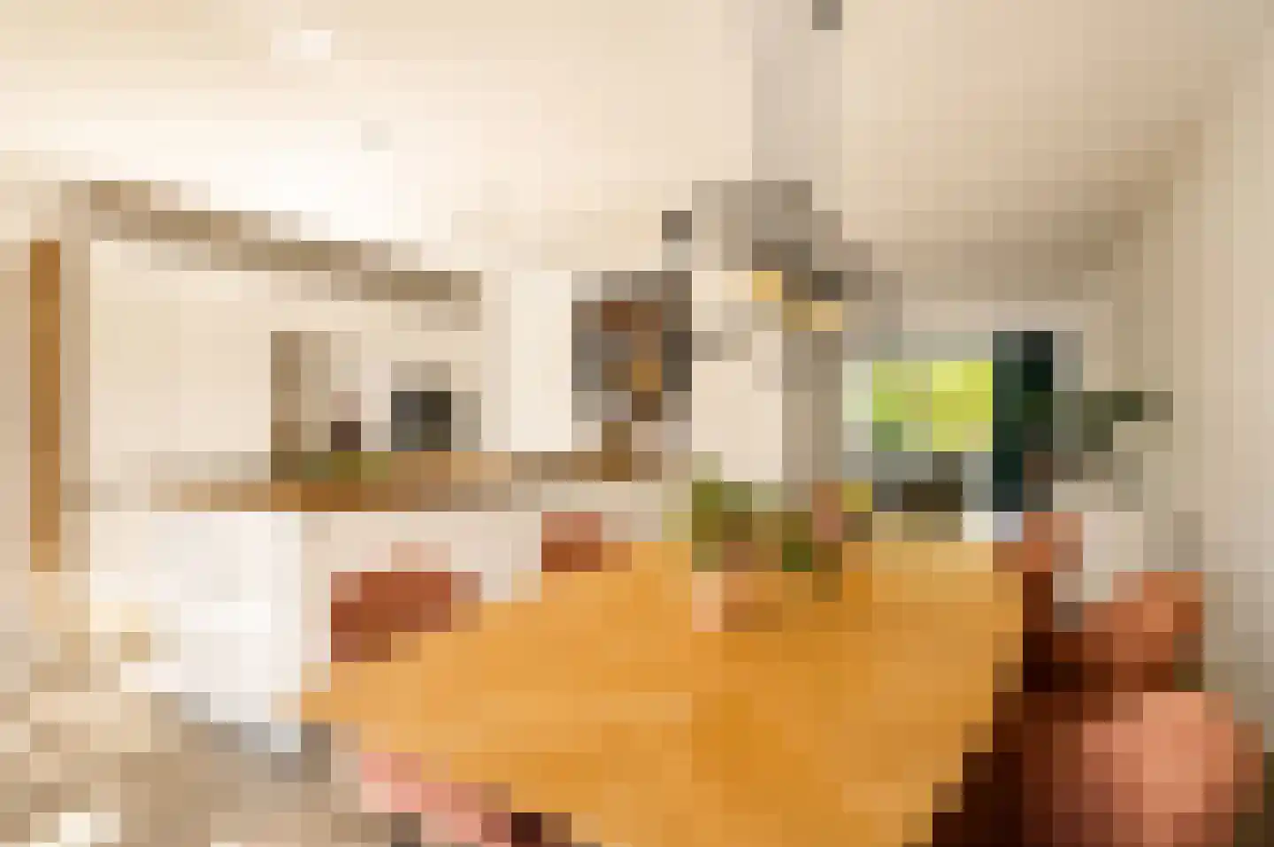 Juffrouw Joostenhof 9 Nederweert thumbnail 9