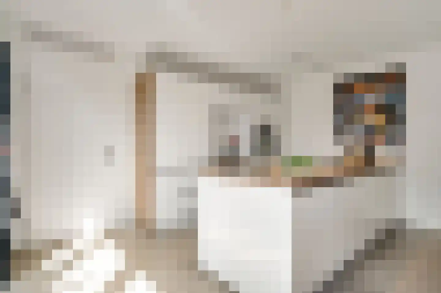 Juffrouw Joostenhof 9 Nederweert thumbnail 9