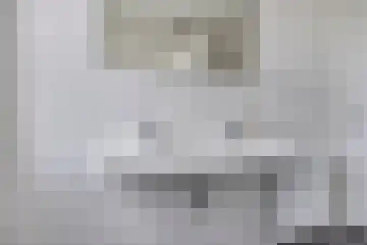 Juffrouw Koetlaan 19 Kampen thumbnail 21