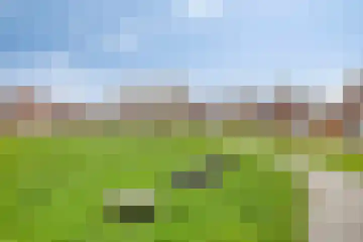 Juffrouw Koetlaan 19 Kampen thumbnail 37
