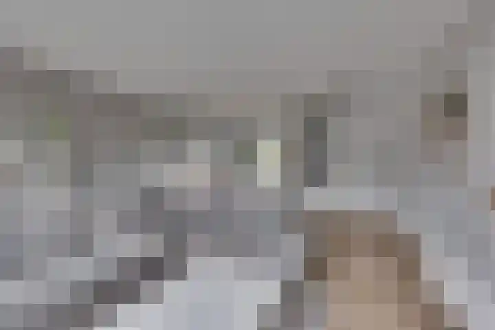 Juffrouw Koetlaan 46 Kampen thumbnail 14