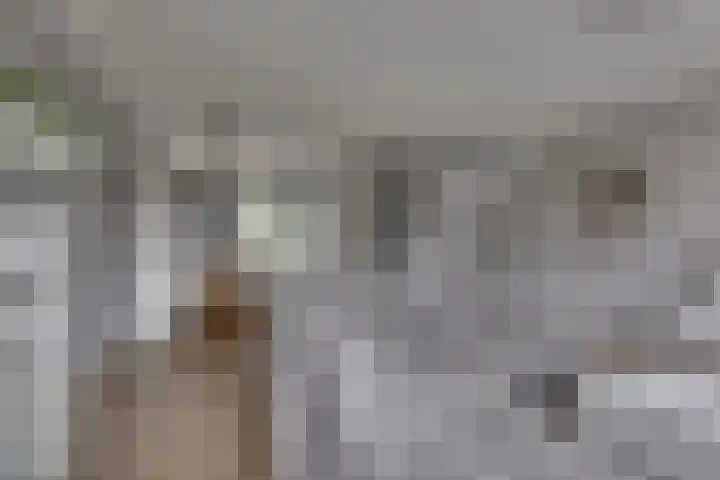 Juffrouw Koetlaan 46 Kampen thumbnail 15