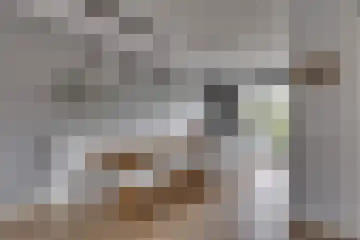 Juffrouw Koetlaan 46 Kampen thumbnail 16