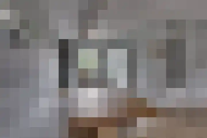 Juffrouw Koetlaan 46 Kampen thumbnail 17