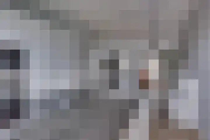 Juffrouw Koetlaan 46 Kampen thumbnail 18