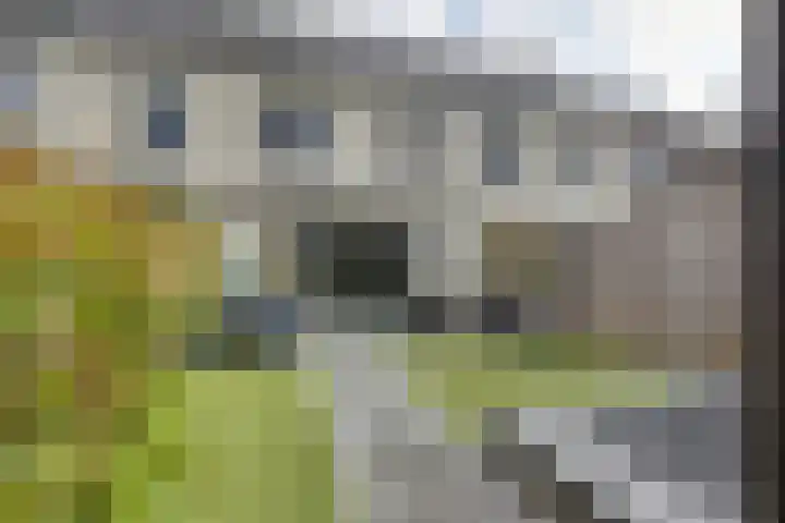 Juffrouw Koetlaan 46 Kampen thumbnail 21
