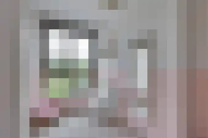 Juffrouw Koetlaan 46 Kampen thumbnail 32
