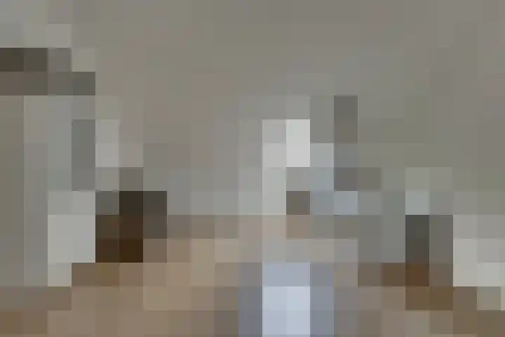 Juffrouw Koetlaan 46 Kampen thumbnail 36