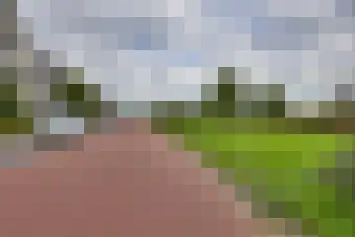 Juffrouw Koetlaan 46 Kampen thumbnail 39