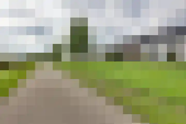 Juffrouw Koetlaan 46 Kampen thumbnail 5