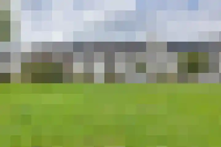 Juffrouw Koetlaan 46 Kampen thumbnail 6