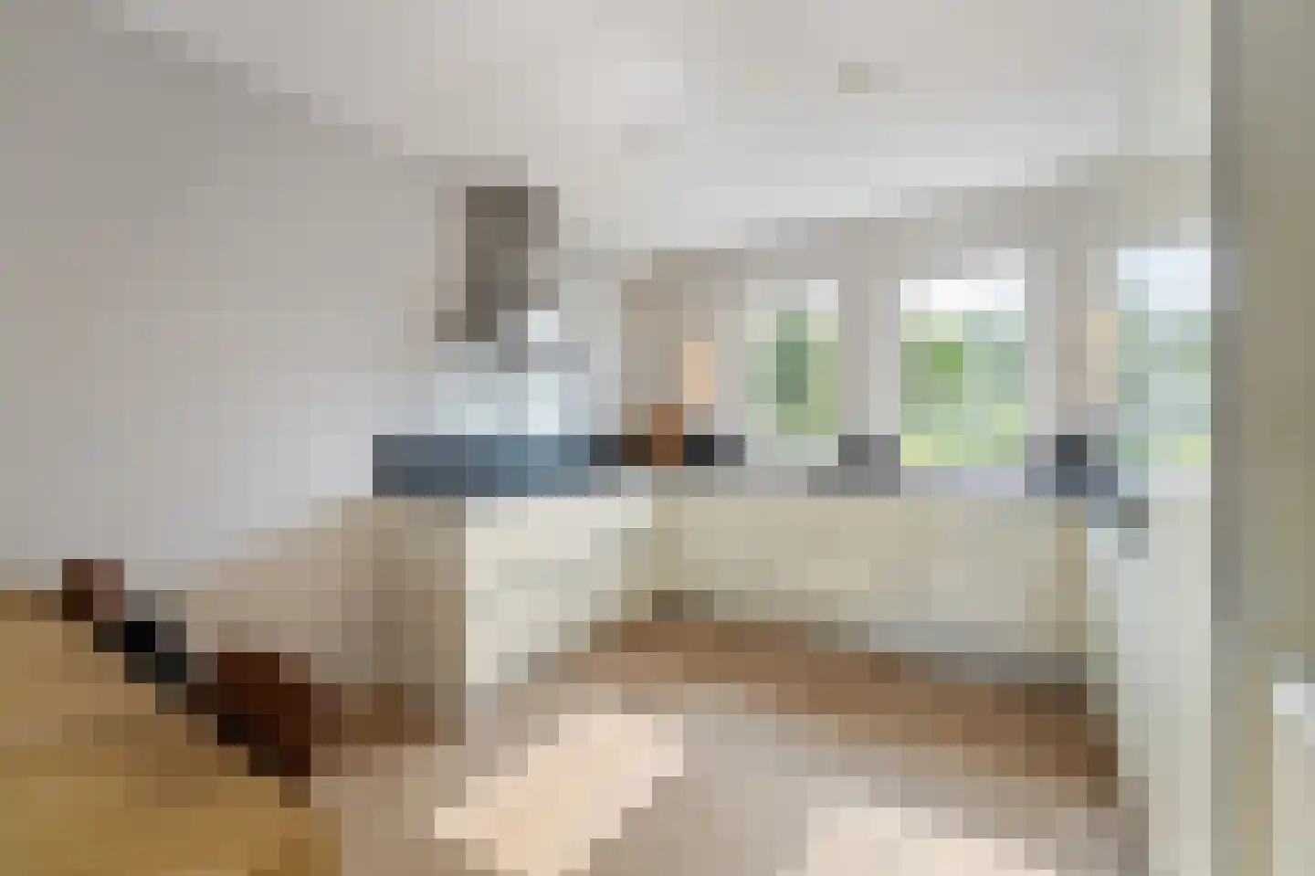 Juffrouw Koetlaan 48 Kampen thumbnail 14
