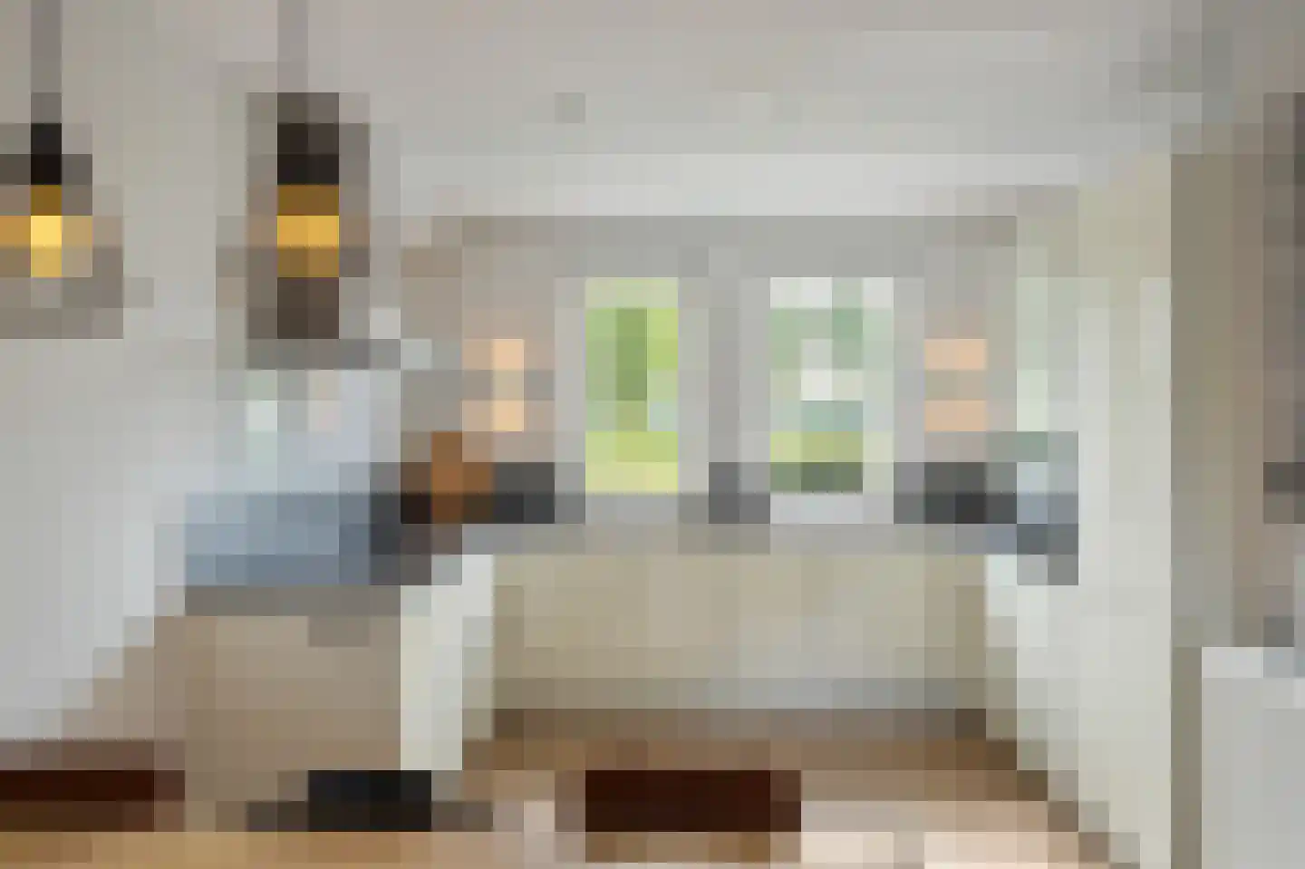 Juffrouw Koetlaan 48 Kampen thumbnail 15