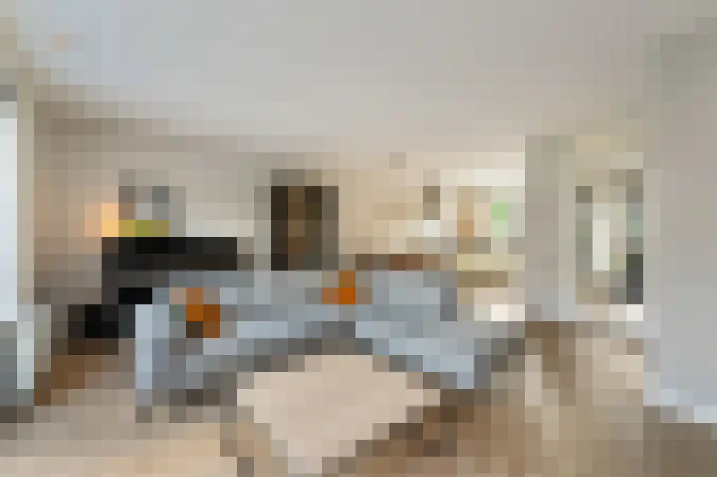 Juffrouw Koetlaan 48 Kampen thumbnail 19