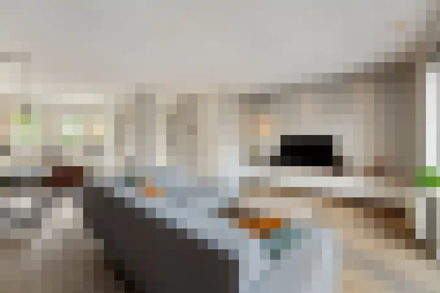Juffrouw Koetlaan 48 Kampen thumbnail 21