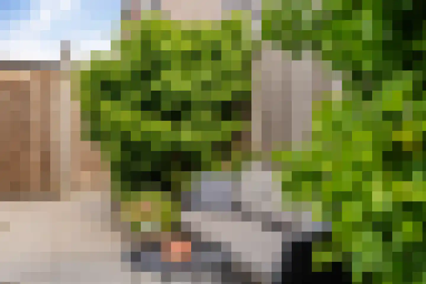 Juffrouw Koetlaan 48 Kampen thumbnail 26