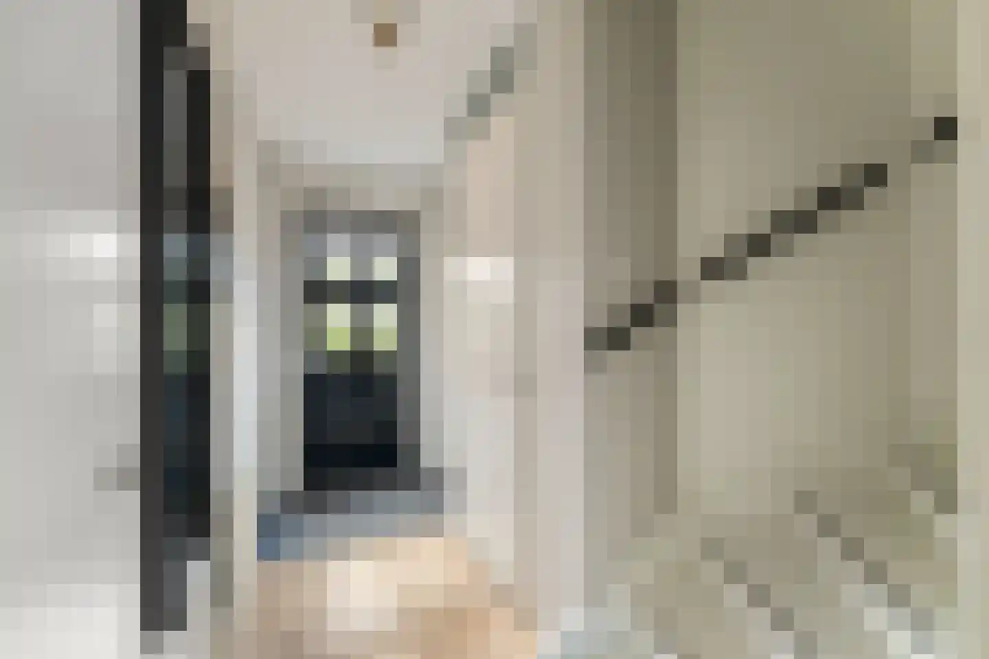 Juffrouw Koetlaan 48 Kampen thumbnail 32