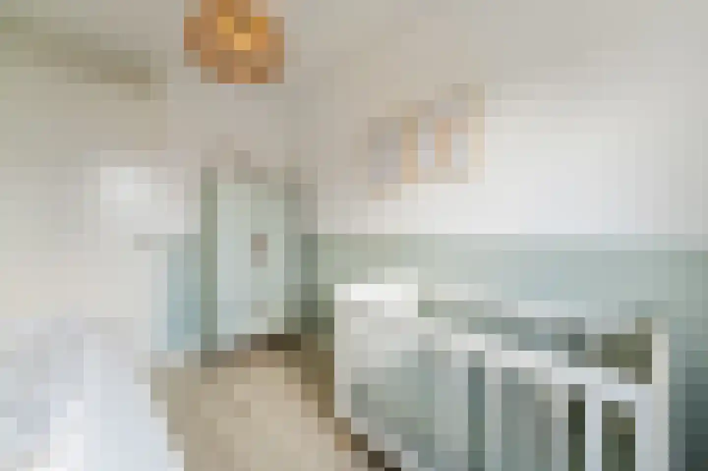 Juffrouw Koetlaan 48 Kampen thumbnail 36