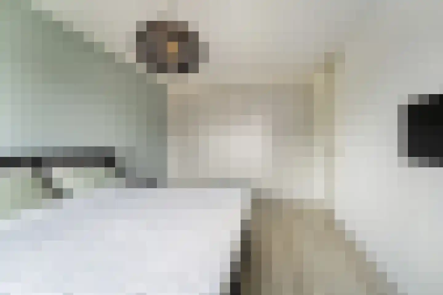 Juffrouw Koetlaan 48 Kampen thumbnail 39