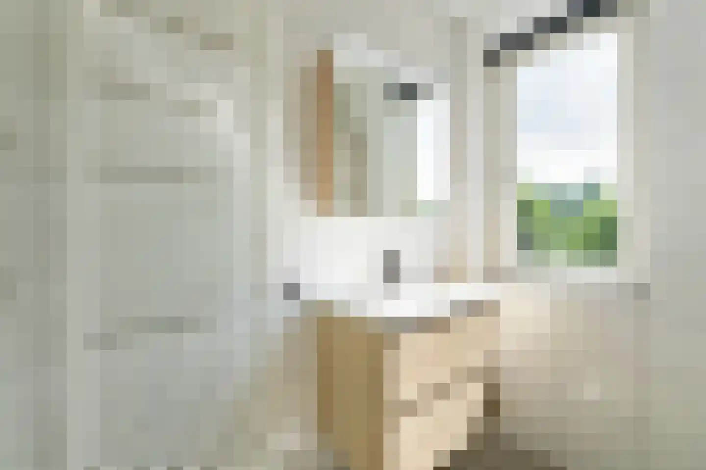 Juffrouw Koetlaan 48 Kampen thumbnail 45