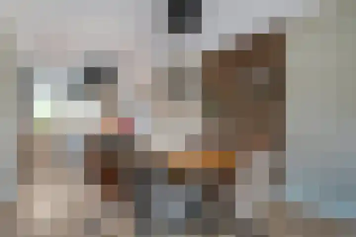 Juffrouw Koetlaan 49 Kampen thumbnail 10