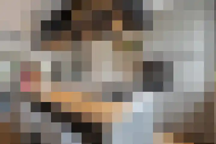 Juffrouw Koetlaan 49 Kampen thumbnail 12