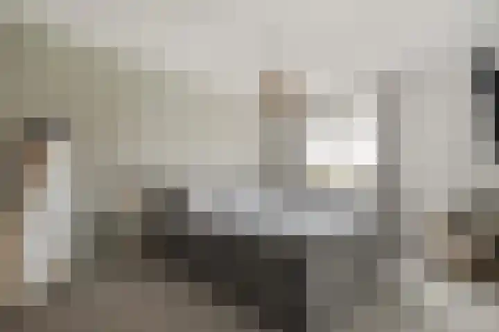 Juffrouw Koetlaan 49 Kampen thumbnail 16