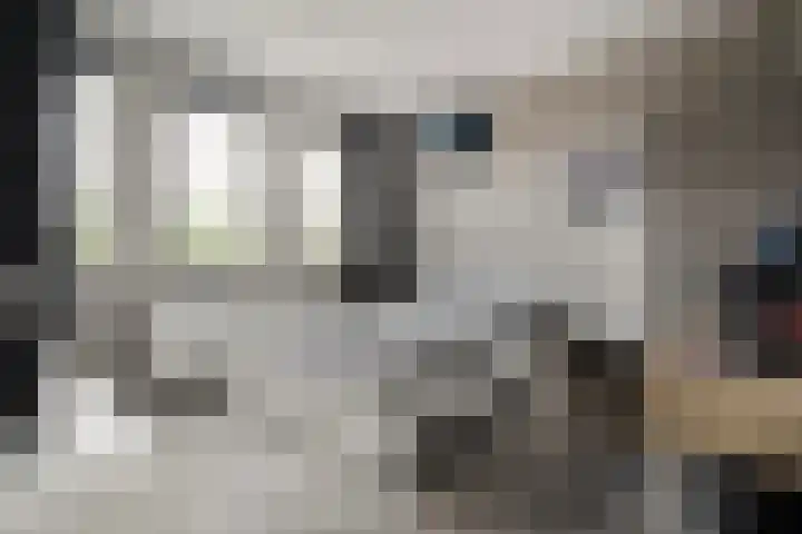 Juffrouw Koetlaan 49 Kampen thumbnail 18