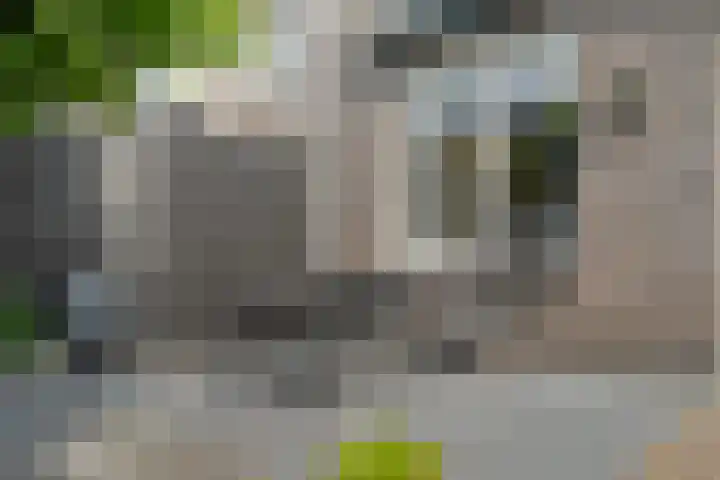 Juffrouw Koetlaan 49 Kampen thumbnail 29