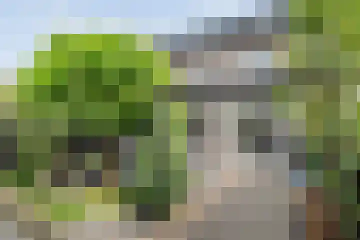 Juffrouw Koetlaan 49 Kampen thumbnail 30