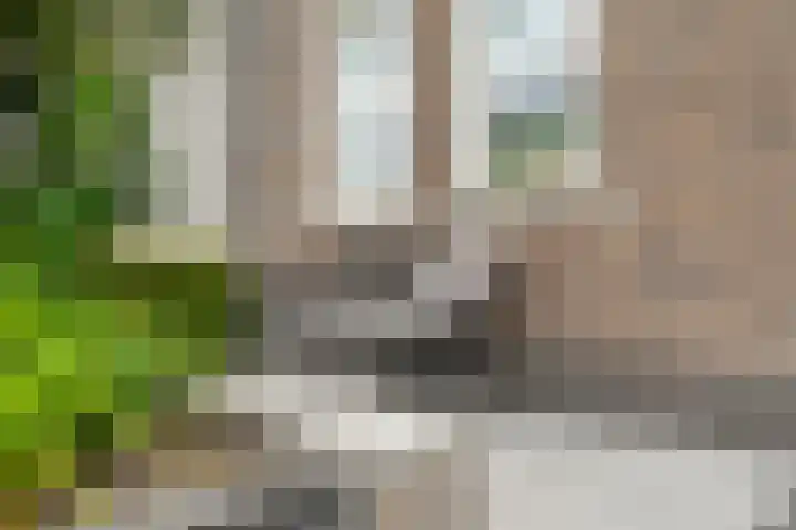 Juffrouw Koetlaan 49 Kampen thumbnail 4